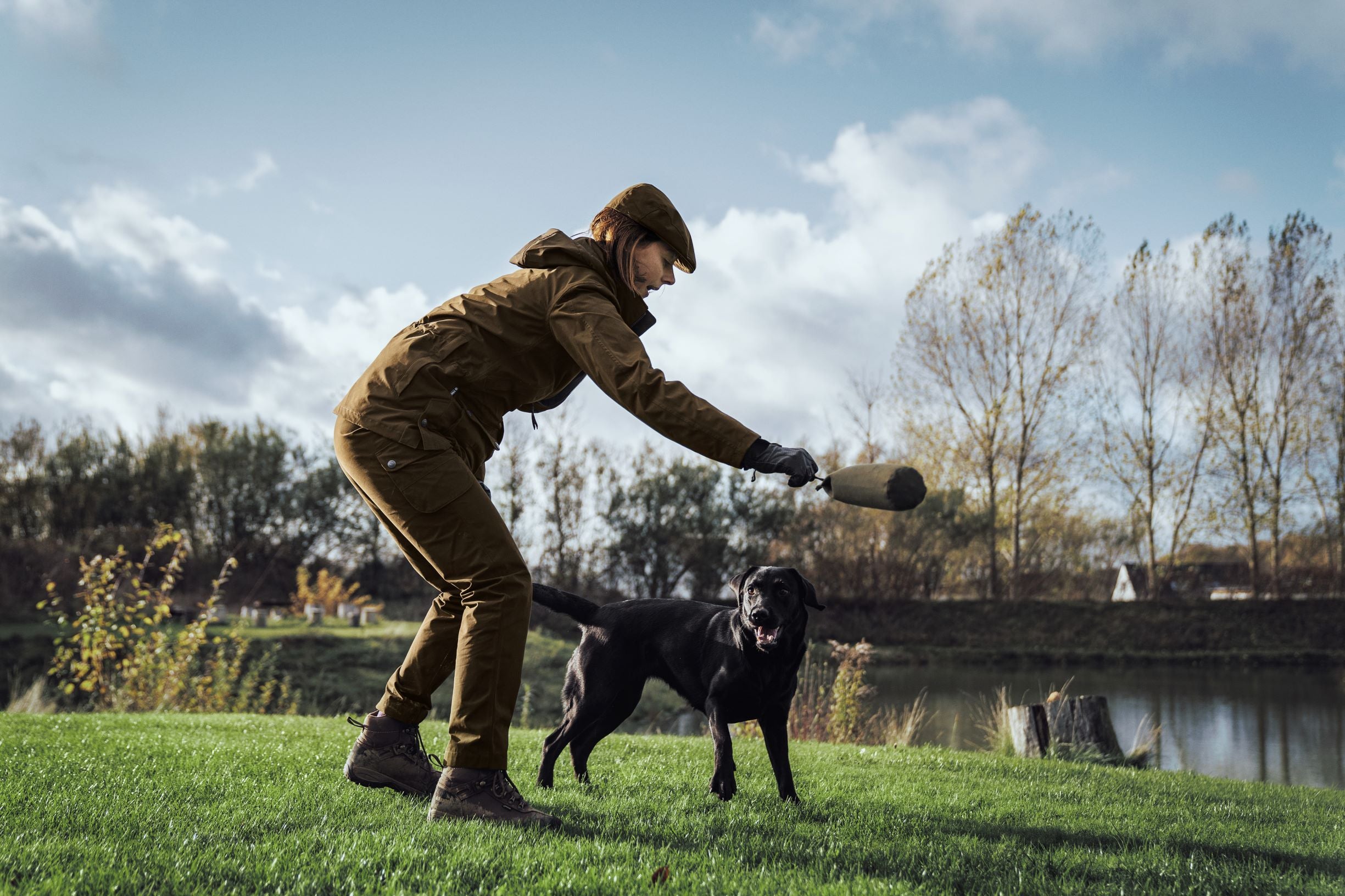 Dog Training