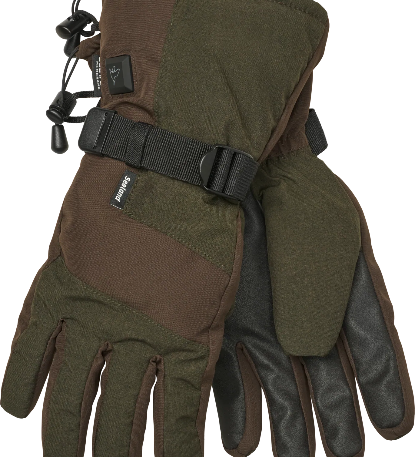 405520030_f01_png.webp