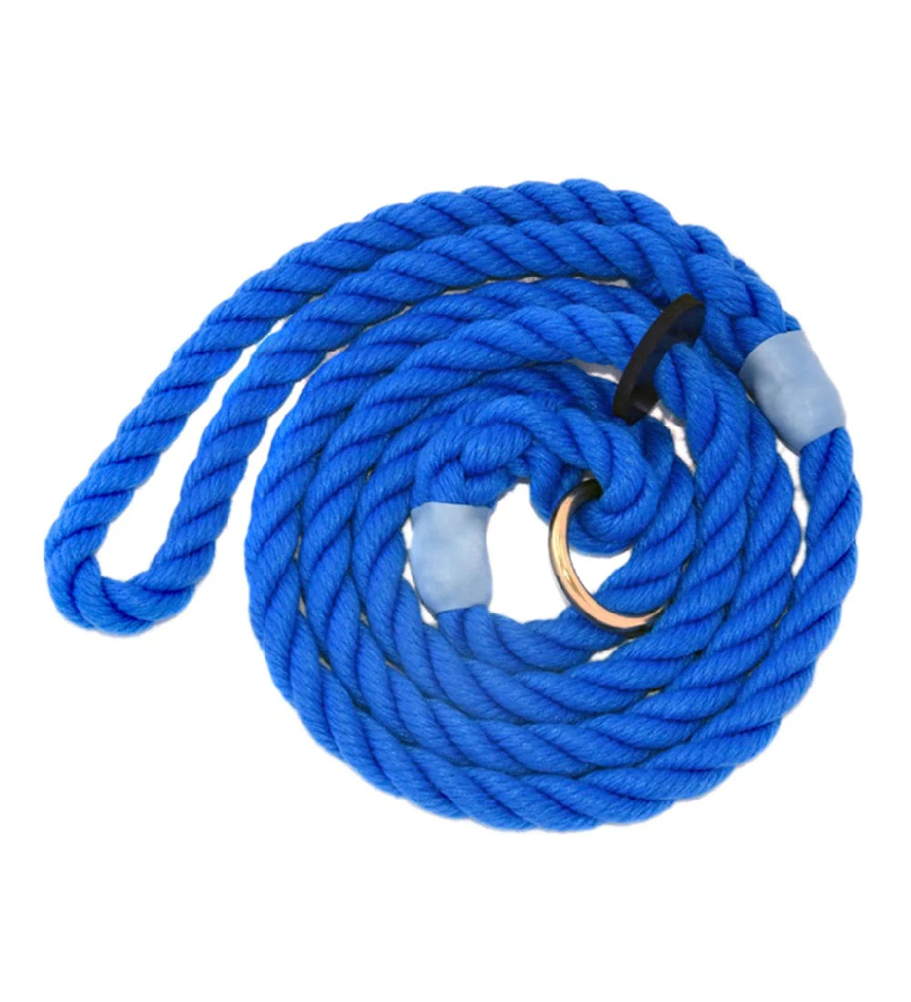 Bisley Elite Dog Slip Lead