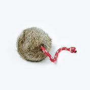 Dog & Field Dummy Throwing Rabbit Ball