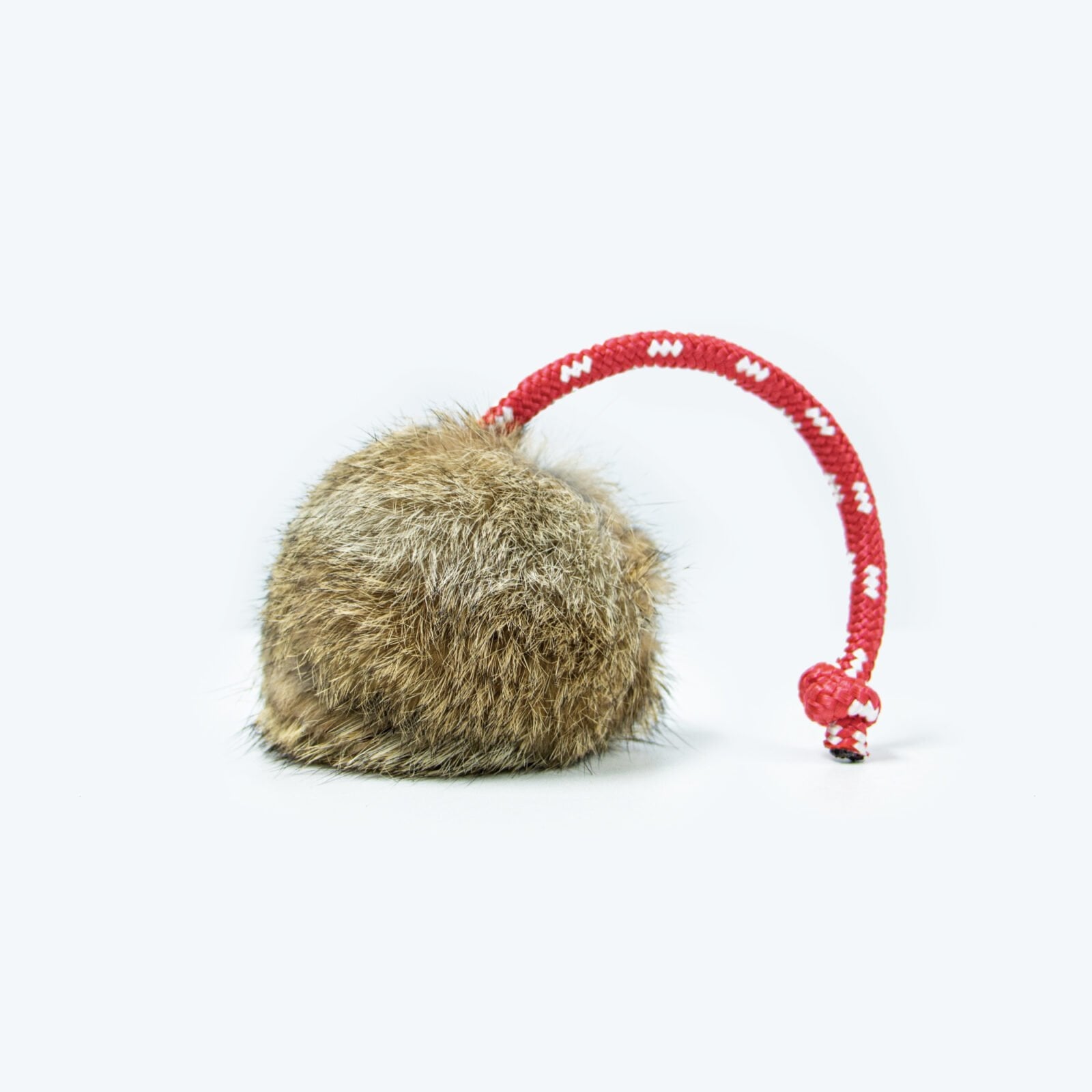 Long-Throw-Rabbit-Ball.jpg