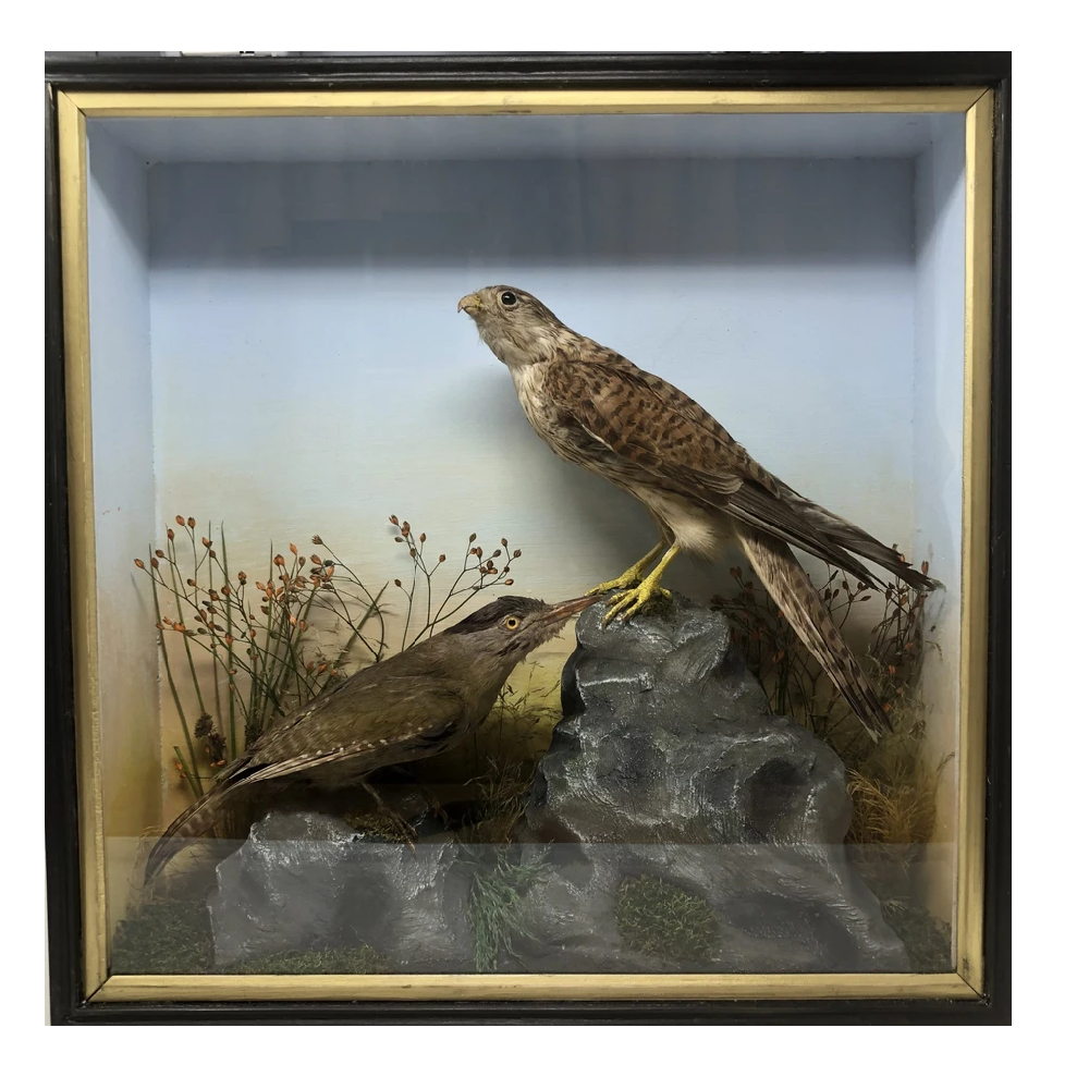 Untitled_631143ff-834b-4c99-bec6-5188c3ea3b1f.png